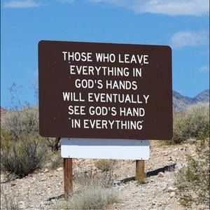 Meet your Posher, Daun